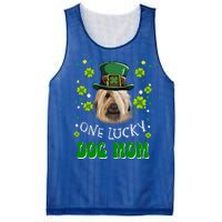 Briard One Lucky Dog Mom Funny Dogs Lover St Patrick's Day Gift Mesh Reversible Basketball Jersey Tank