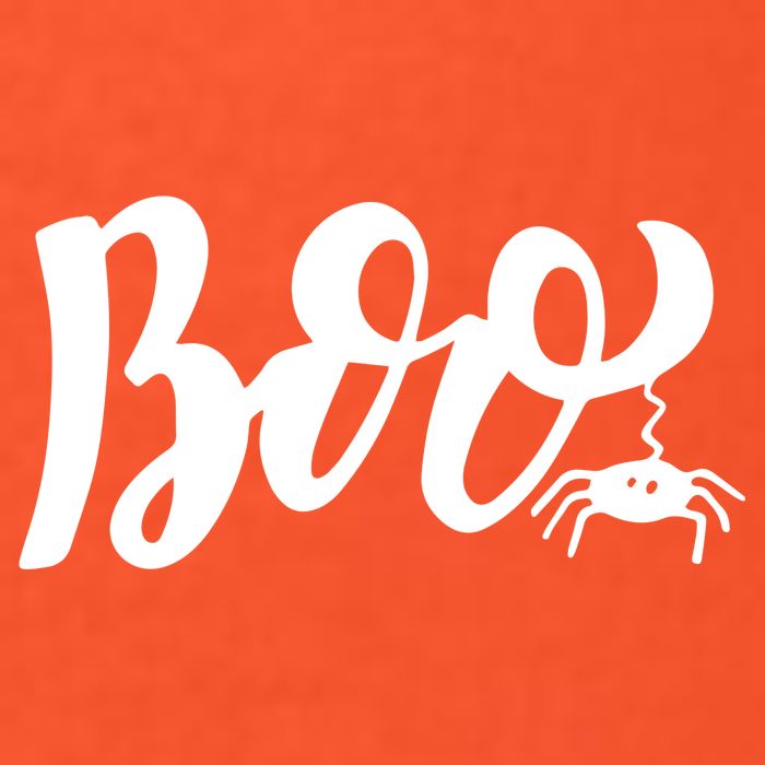 Boo Cut Spider Halloween T-Shirt