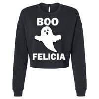 Boo Felicia Cropped Pullover Crew