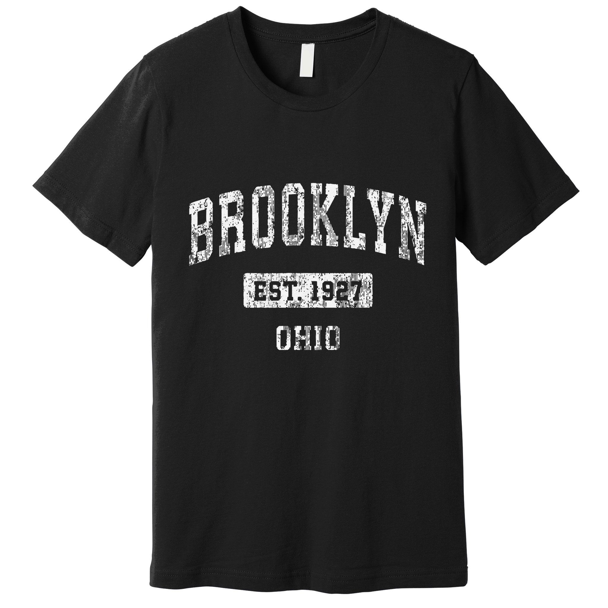 Brooklyn Ohio Oh Vintage Established Premium T-Shirt