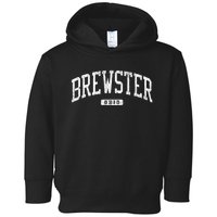 Brewster Ohio Oh Js03 College University Style Toddler Hoodie