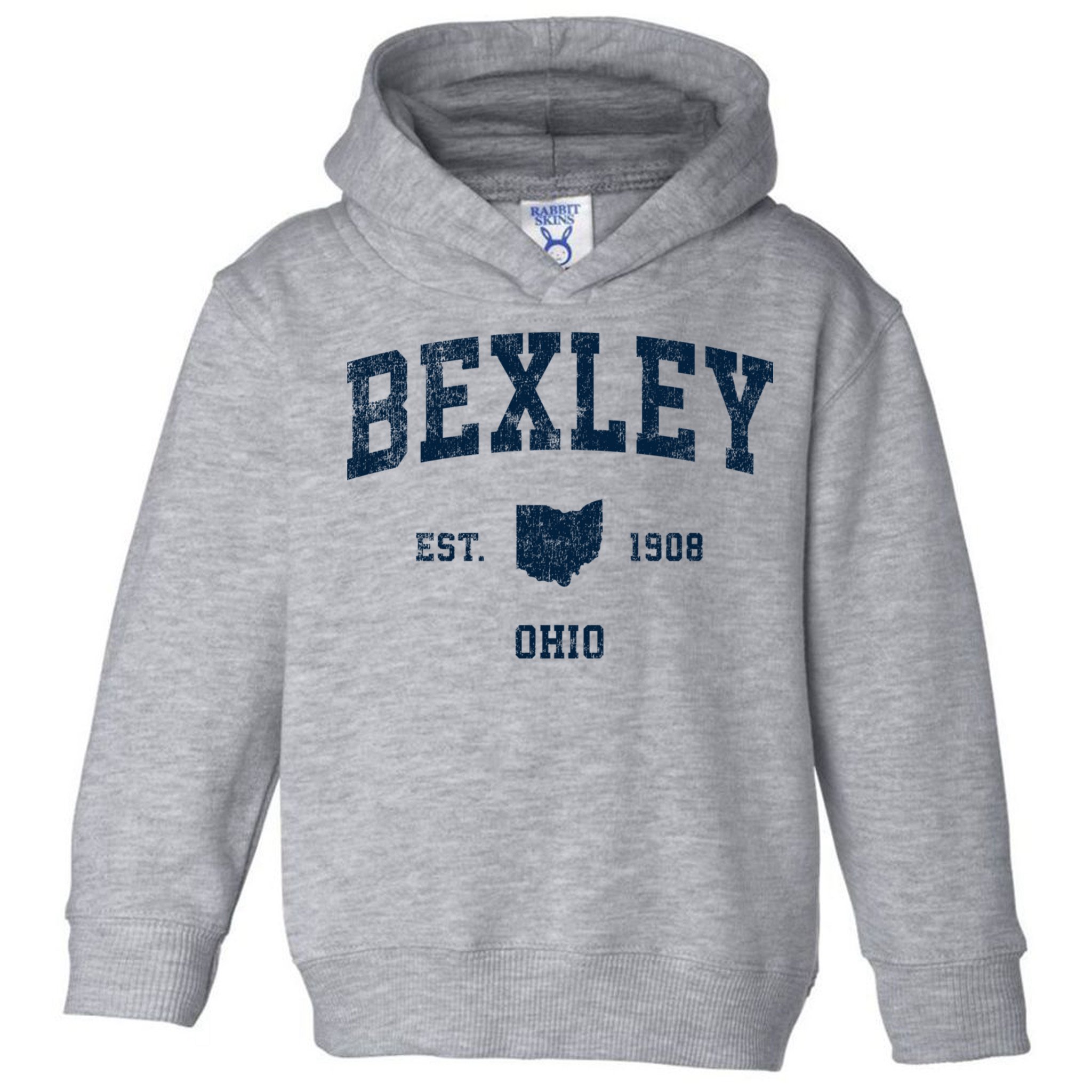Bexley Ohio Oh Vintage Sports Toddler Hoodie