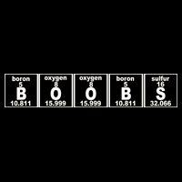 Boobs Breasts Periodic Table City Backpack