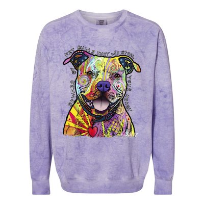 Beware Of Pit Bulls Dean Russo Pitbull Original Dog Lover Colorblast Crewneck Sweatshirt