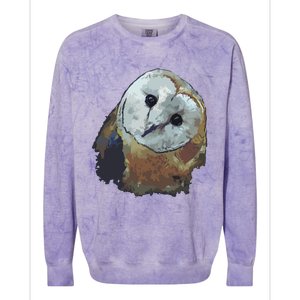 Barn Owl Painting Owl Art Colorblast Crewneck Sweatshirt