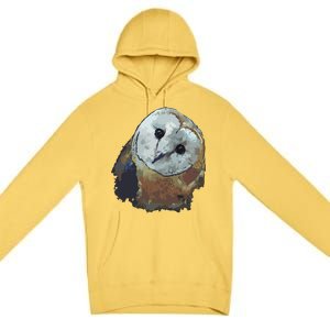 Barn Owl Painting Owl Art Premium Pullover Hoodie