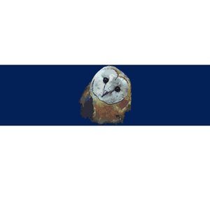 Barn Owl Painting Owl Art Bumper Sticker