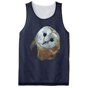 Barn Owl Painting Owl Art Mesh Reversible Basketball Jersey Tank