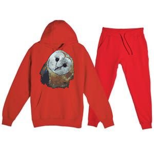 Barn Owl Painting Owl Art Premium Hooded Sweatsuit Set