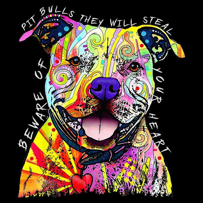 Beware of Pit Bulls They Will Steal Your Heart Funny Dogs Sustainable Bucket Hat