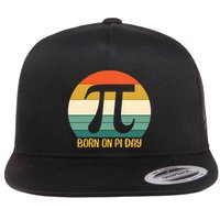 Born On Pi Day March 14 Math Geek Funny Design Meaningful Gift Flatbill Hat