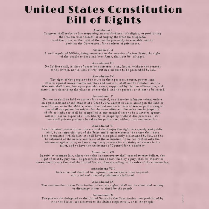 Bill Of Rights Us Constitution 25L Jumbo Tote