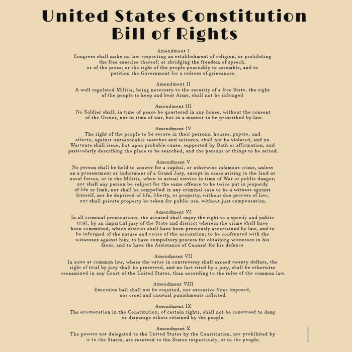 Bill Of Rights Us Constitution Bag