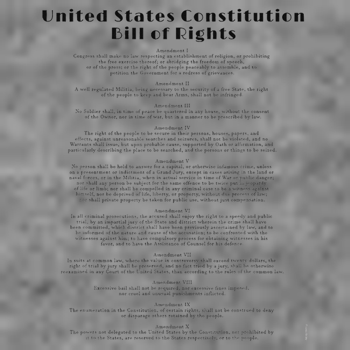 Bill Of Rights Us Constitution Tall Sweatshirt