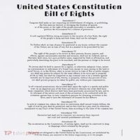 Bill Of Rights Us Constitution Sustainable Bucket Hat