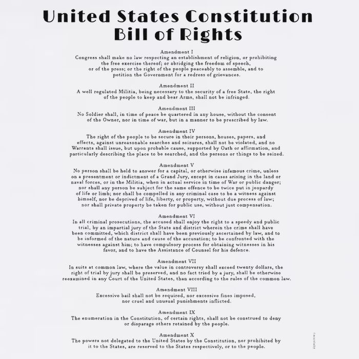Bill Of Rights Us Constitution Cropped Pullover Crew