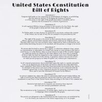 Bill Of Rights Us Constitution Wool Snapback Cap