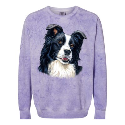 Border Collie Colorblast Crewneck Sweatshirt