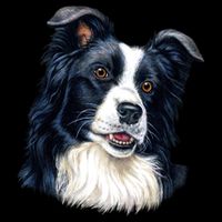 Border Collie City Backpack