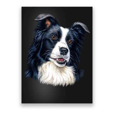 Border Collie Poster