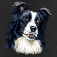 Border Collie 25L Jumbo Tote