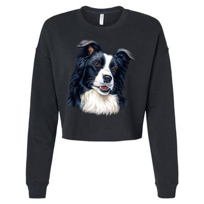 Border Collie Cropped Pullover Crew