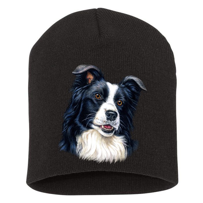 Border Collie Short Acrylic Beanie