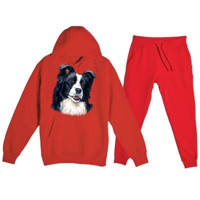 Border Collie Premium Hooded Sweatsuit Set