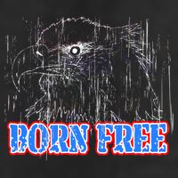 Born Free Eagle 11oz C Handle Ceramic Mug