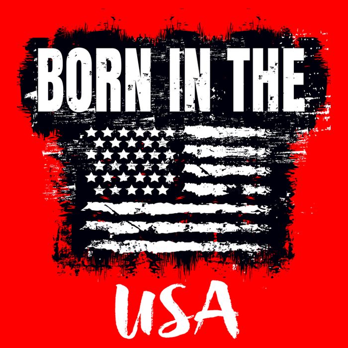 Born In The USA 16 in Basic Backpack