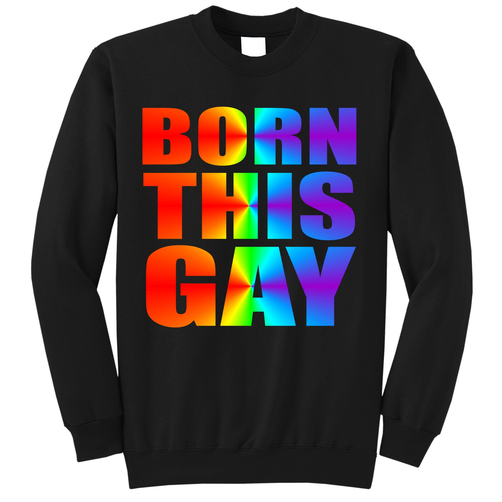 Born This Gay Pride LGBT Sweatshirt