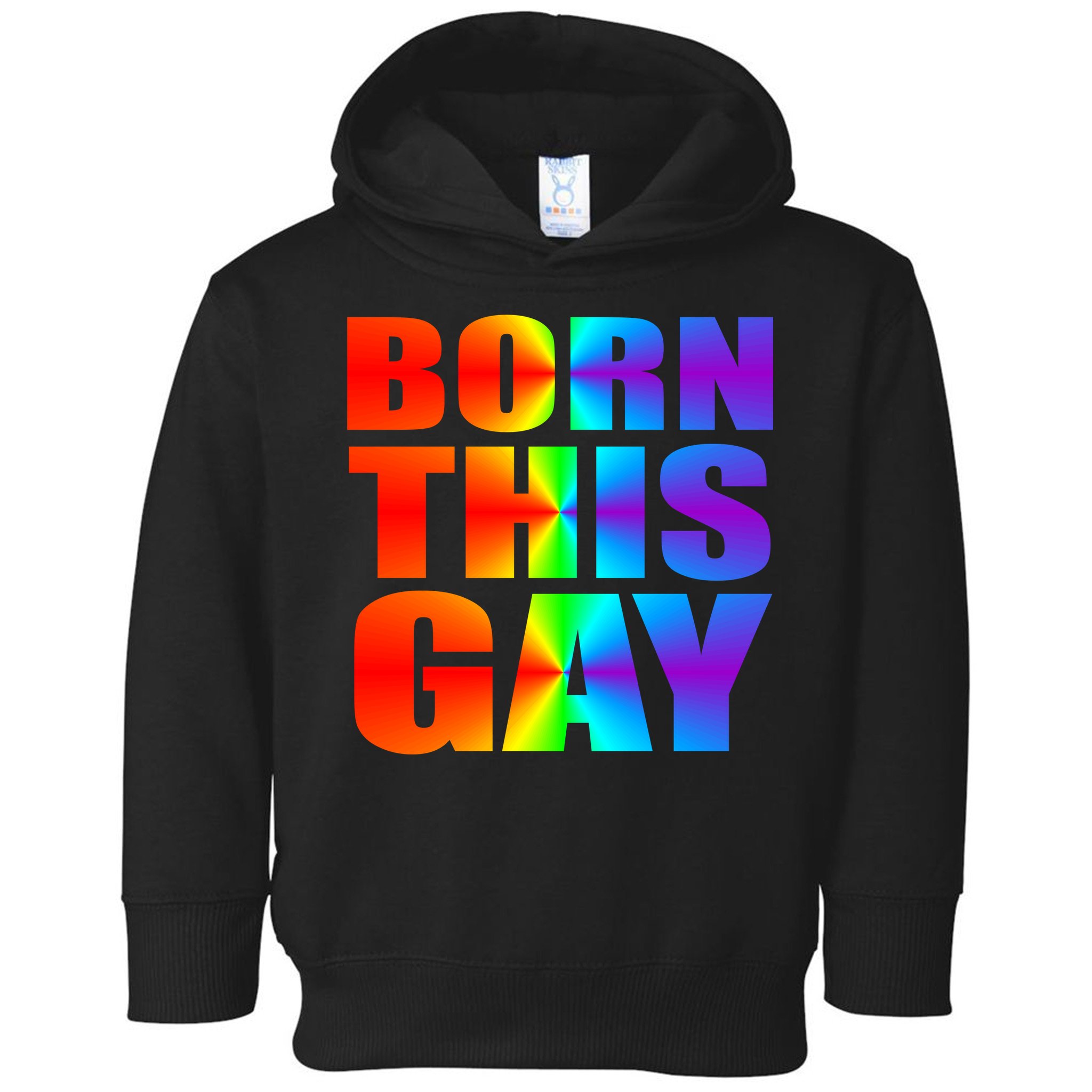 Born This Gay Pride LGBT Toddler Hoodie