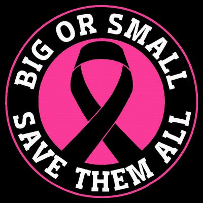 Big Or Small Save Them All Save The Tatas T-Shirt
