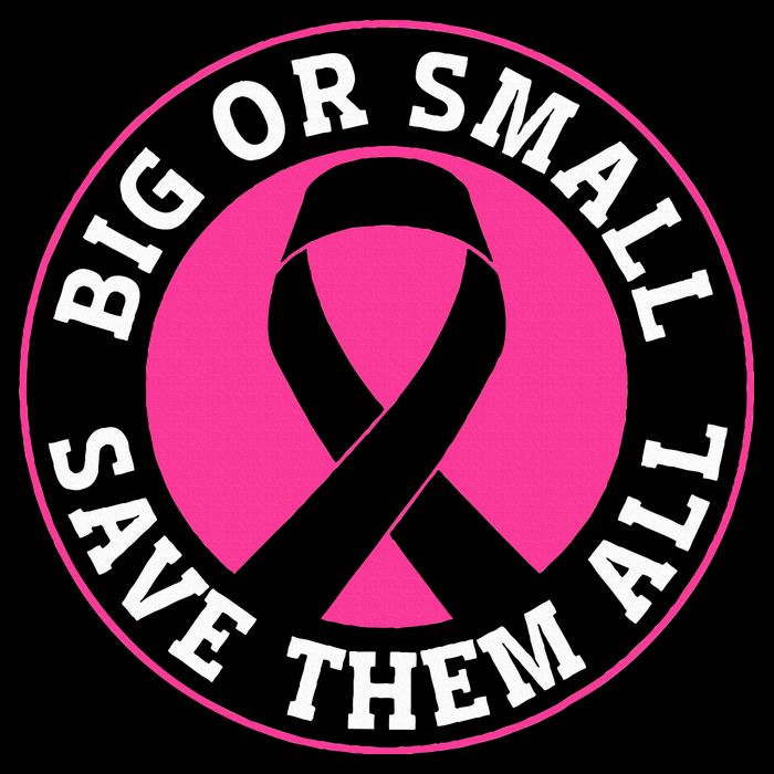 Big Or Small Save Them All Save The Tatas Premium T-Shirt