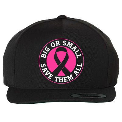 Big Or Small Save Them All Save The Tatas Wool Snapback Cap