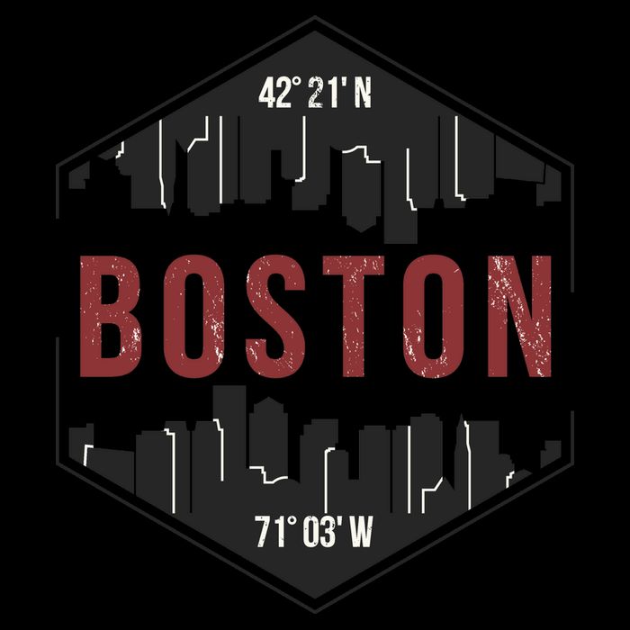Boston Skyline Impact Tech Backpack