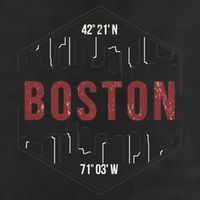 Boston Skyline Adult Drive Performance Visor
