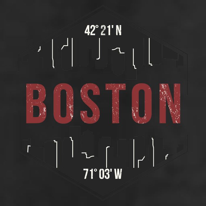 Boston Skyline Adult Drive Performance Visor
