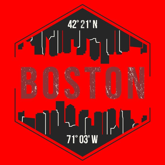 Boston Skyline Pom Pom 12in Knit Beanie