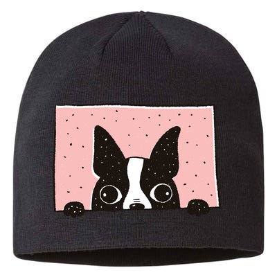 Boston Terrier Peeking Sustainable Beanie