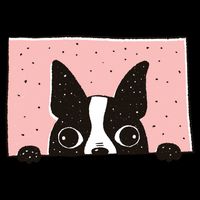 Boston Terrier Peeking Zip Tote Bag