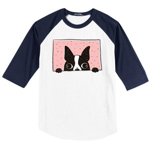 Boston Terrier Peeking Baseball Sleeve Shirt