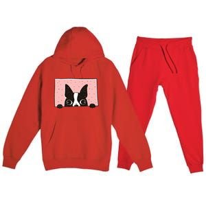 Boston Terrier Peeking Premium Hooded Sweatsuit Set