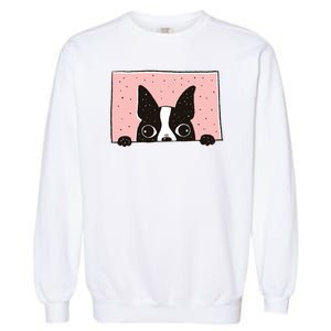 Boston Terrier Peeking Garment-Dyed Sweatshirt