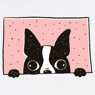 Boston Terrier Peeking T-Shirt
