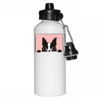 Boston Terrier Peeking Aluminum Water Bottle