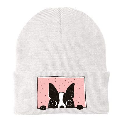 Boston Terrier Peeking Beanie