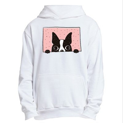 Boston Terrier Peeking Urban Pullover Hoodie