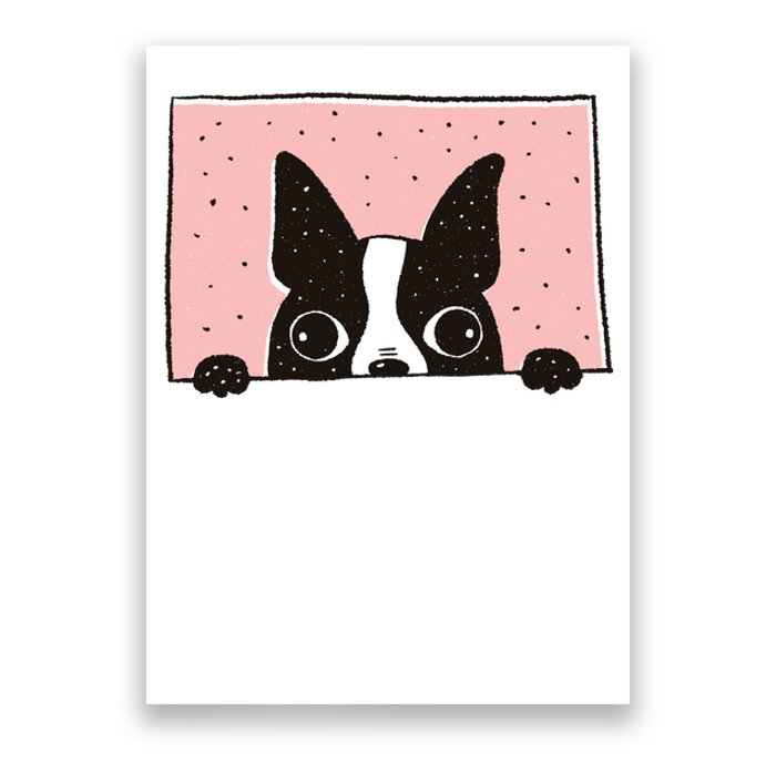 Boston Terrier Peeking Poster