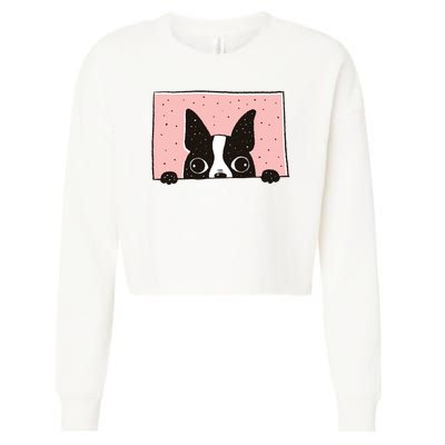 Boston Terrier Peeking Cropped Pullover Crew